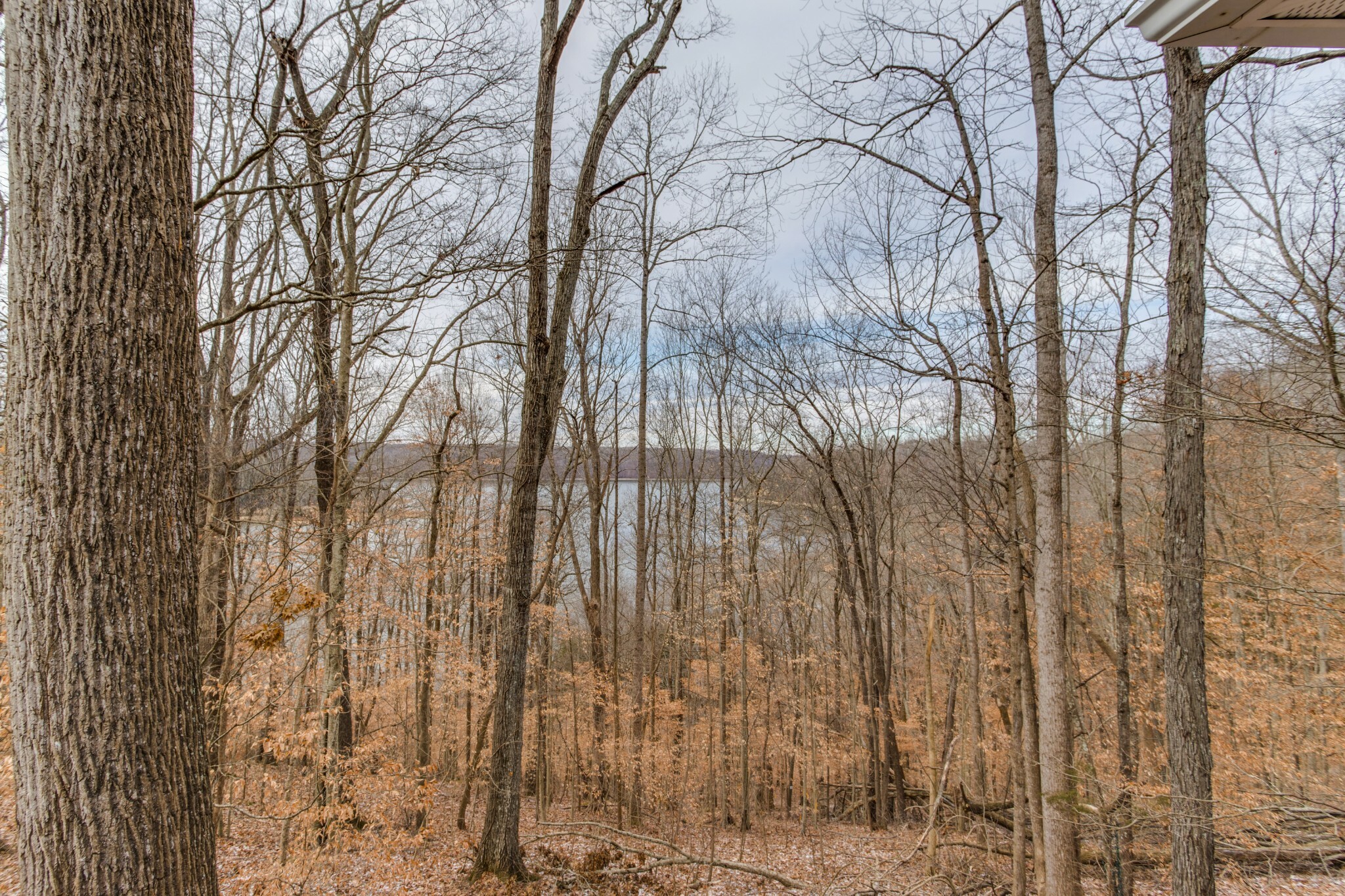 Property Photo: 0 Fire Lake Dr TN 37355