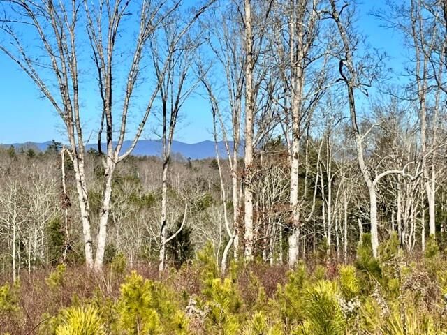 Lot 4 High River  Ellijay GA 30540 photo