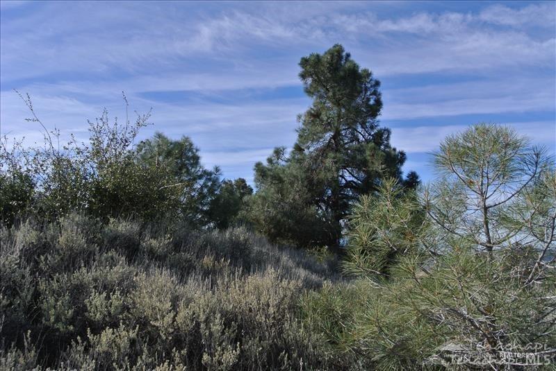 0 Winchester Court  Tehachapi CA 93561 photo