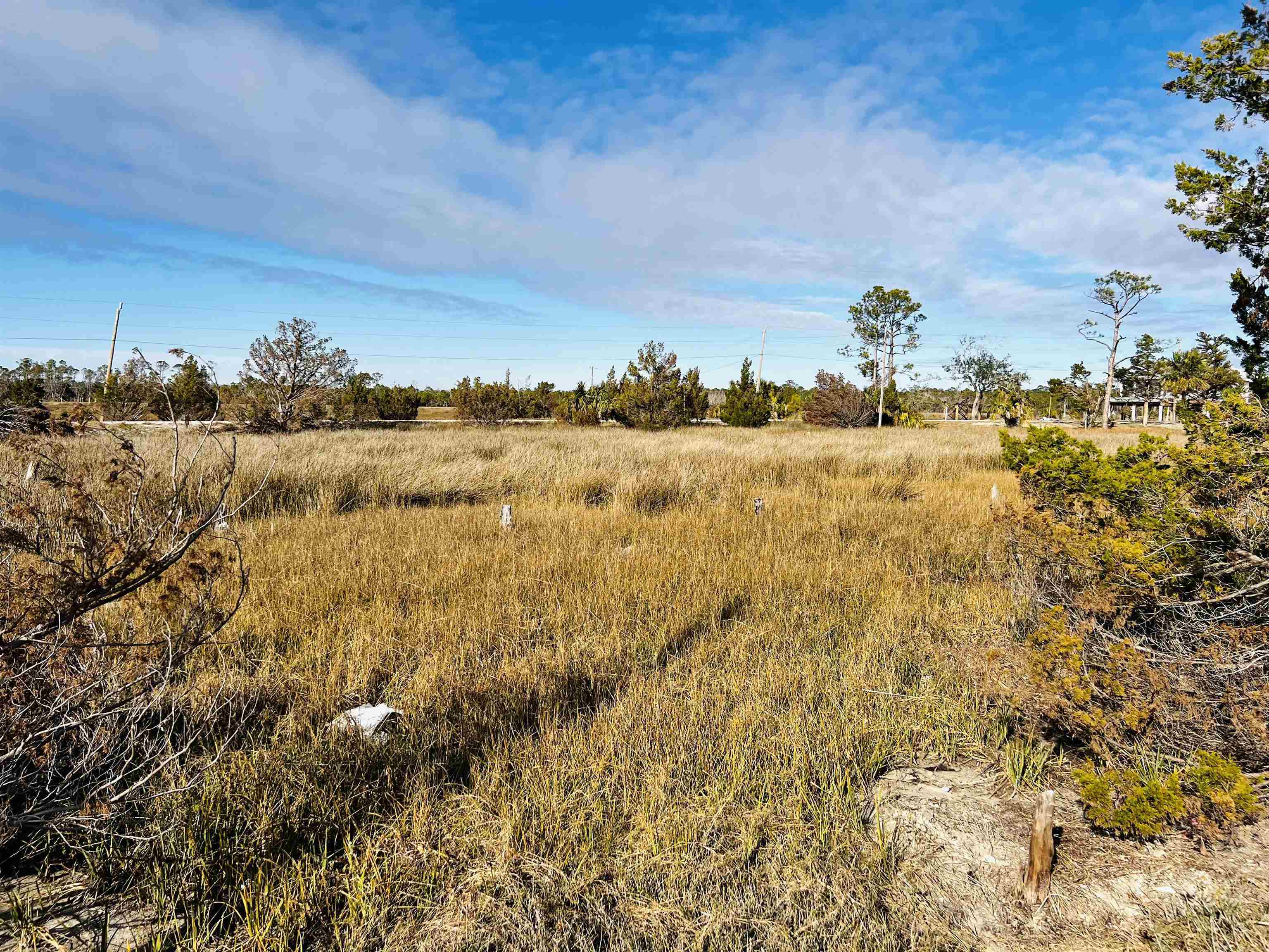 Property Photo:  000 Ezell Beach Road  FL 32348-00 