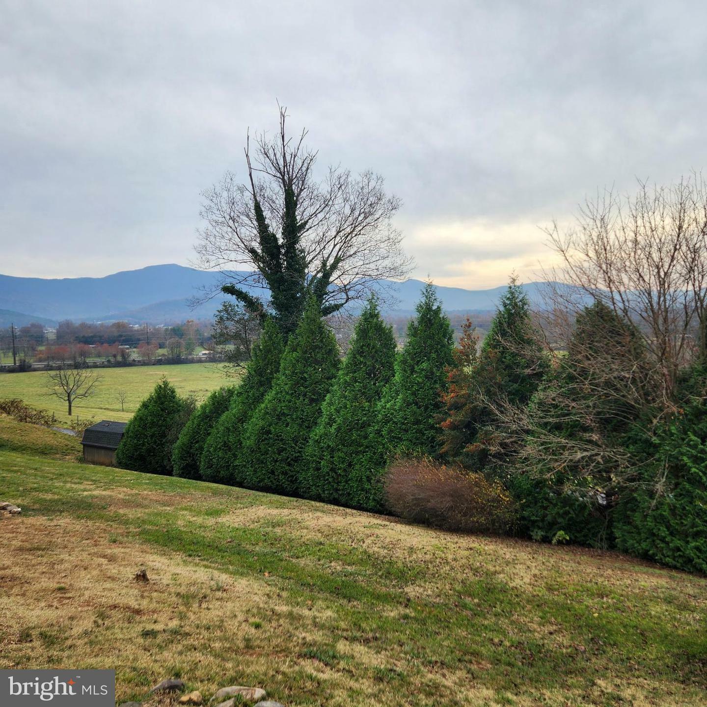 Property Photo:  24 Springview Boulevard  VA 22835 