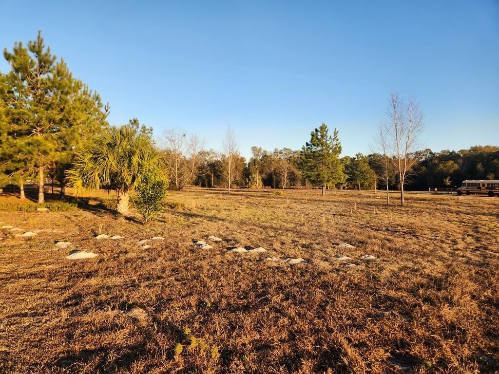 Property Photo:  76th Ave  FL 32626 