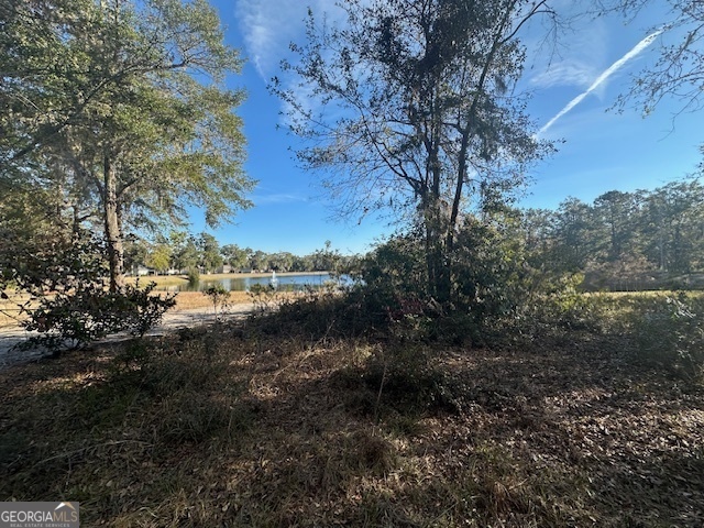 Property Photo:  V/L 276 Harbour Island Circle  GA 31565 