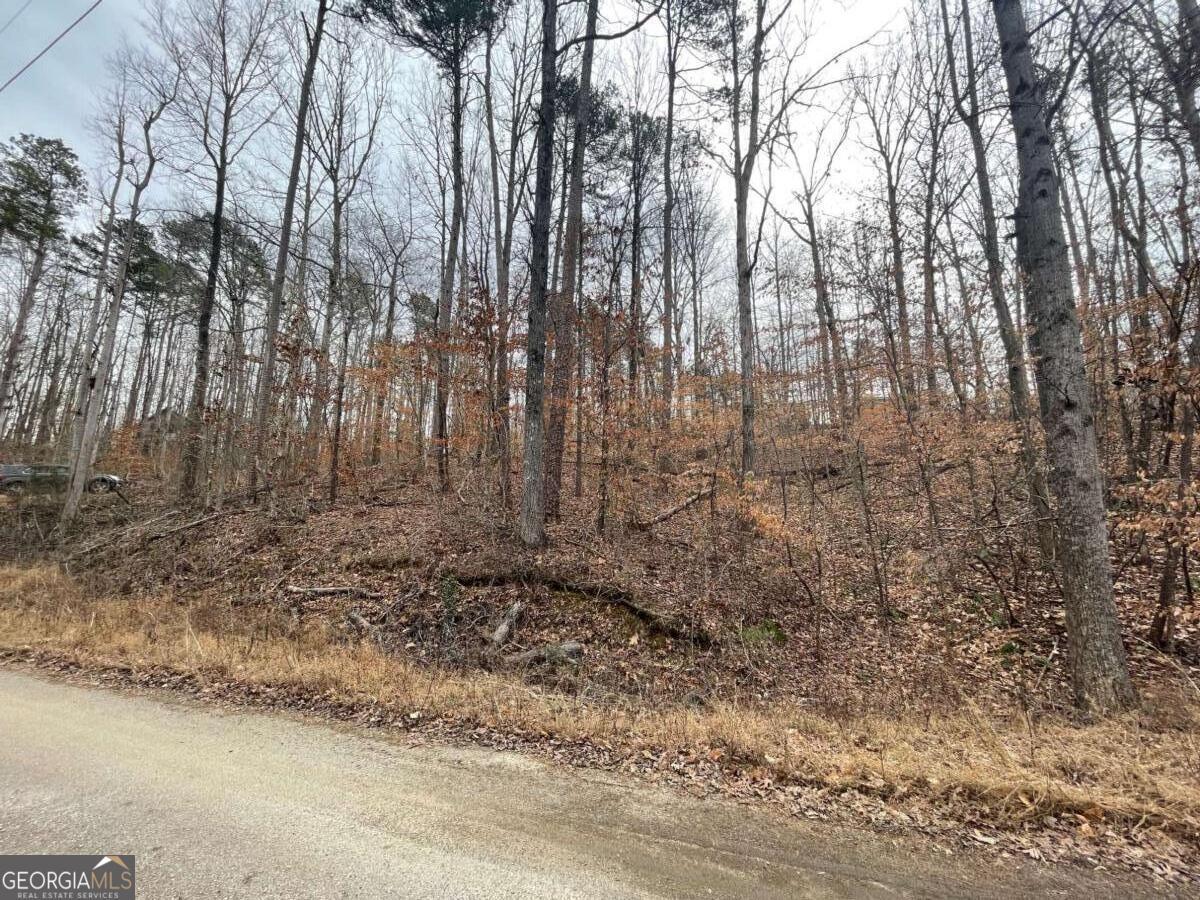 Property Photo: 18 S Buckskin Trail GA 30557