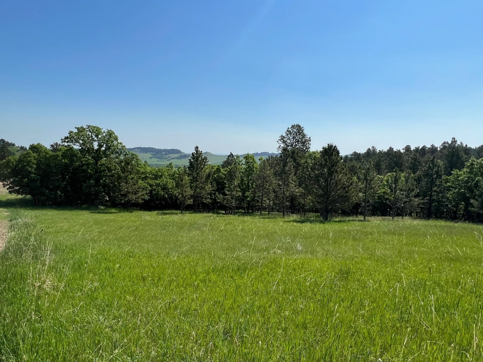 Property Photo:  Tbd Lot 7 Niobrara Drive  SD 57793 