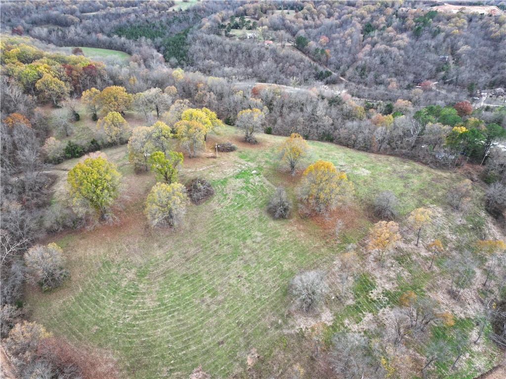 Property Photo:  Lot 4 Old Capps Road  AR 72601 