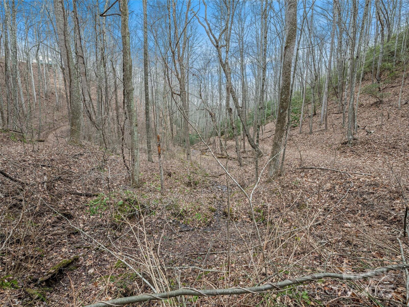 Property Photo:  19 Mossy Rock Lane 76  NC 28748 