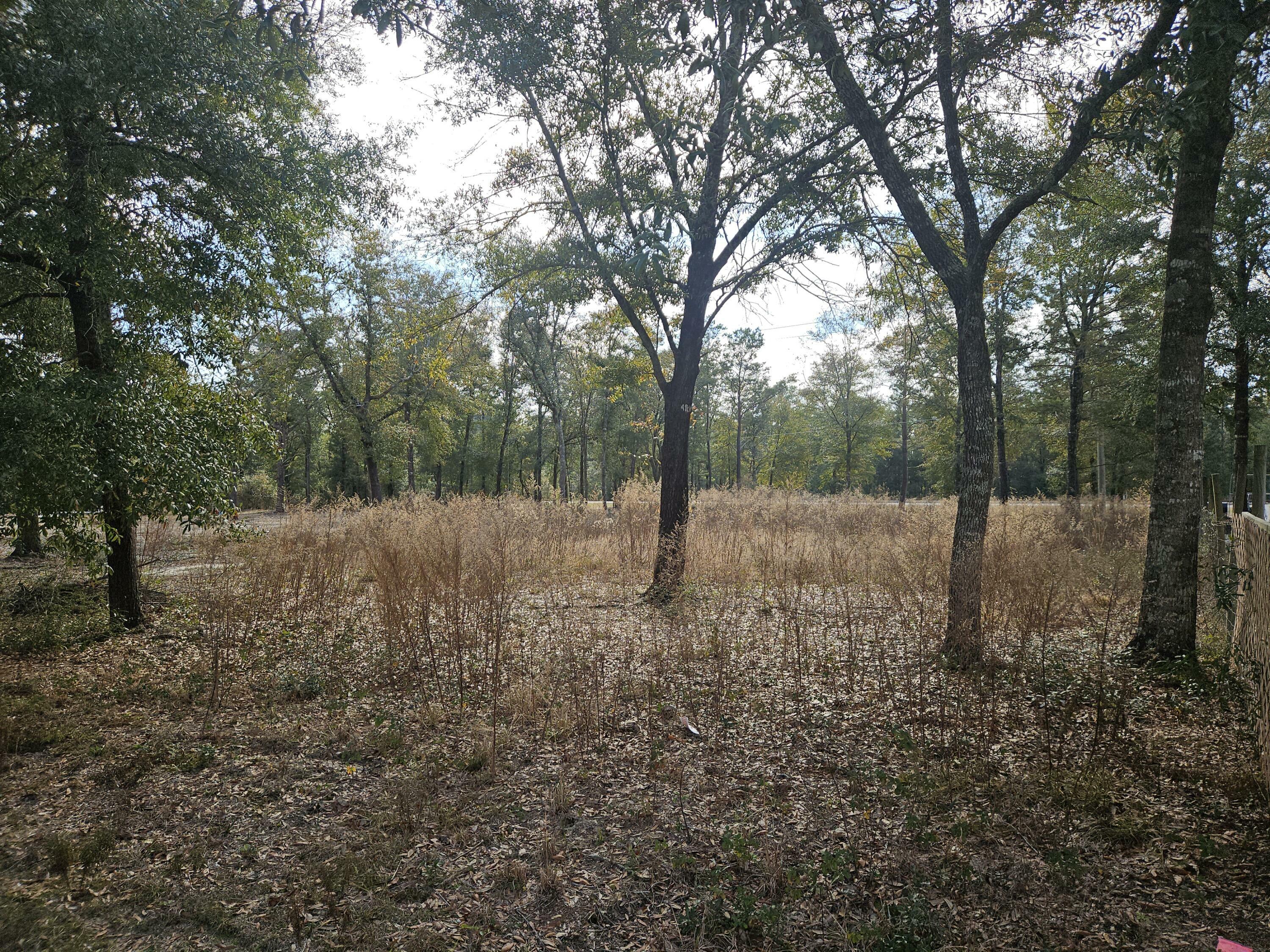 Property Photo:  Lot 34 Windflower Street  FL 32433 