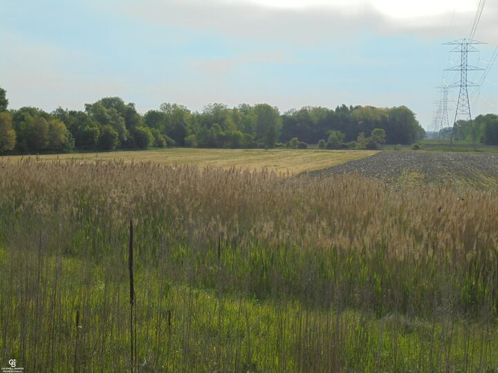 Property Photo: 00 Armada Ridge Road MI 48005