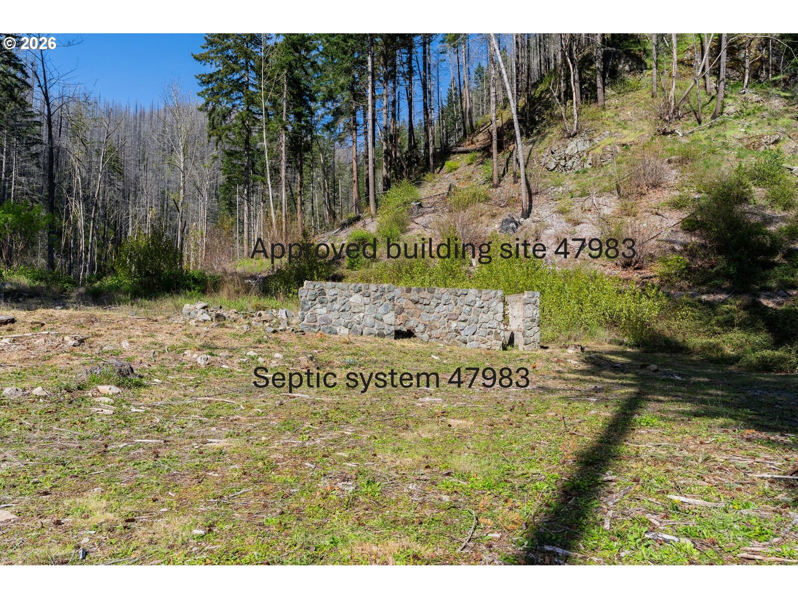 Property Photo: 47983 McKenzie Hwy OR 97488
