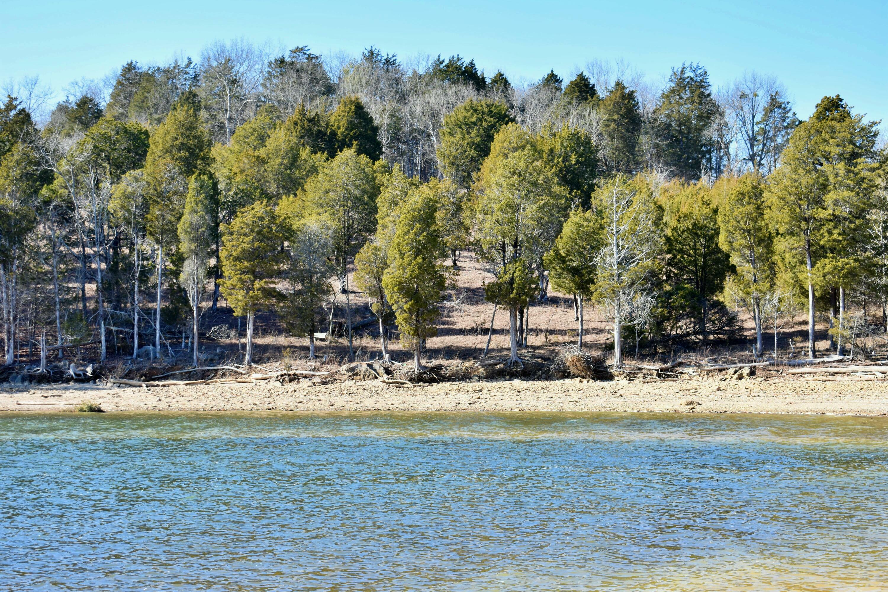 Property Photo:  Lot 105 E Shore Drive  TN 37854 