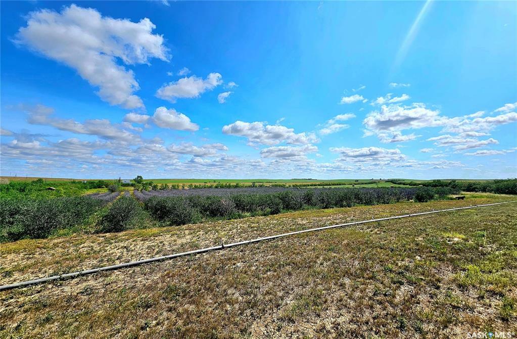 Property Photo: Rural Address SK S0N 0A0