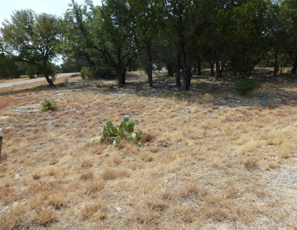 Property Photo: 101 Sage Circle TX 78657