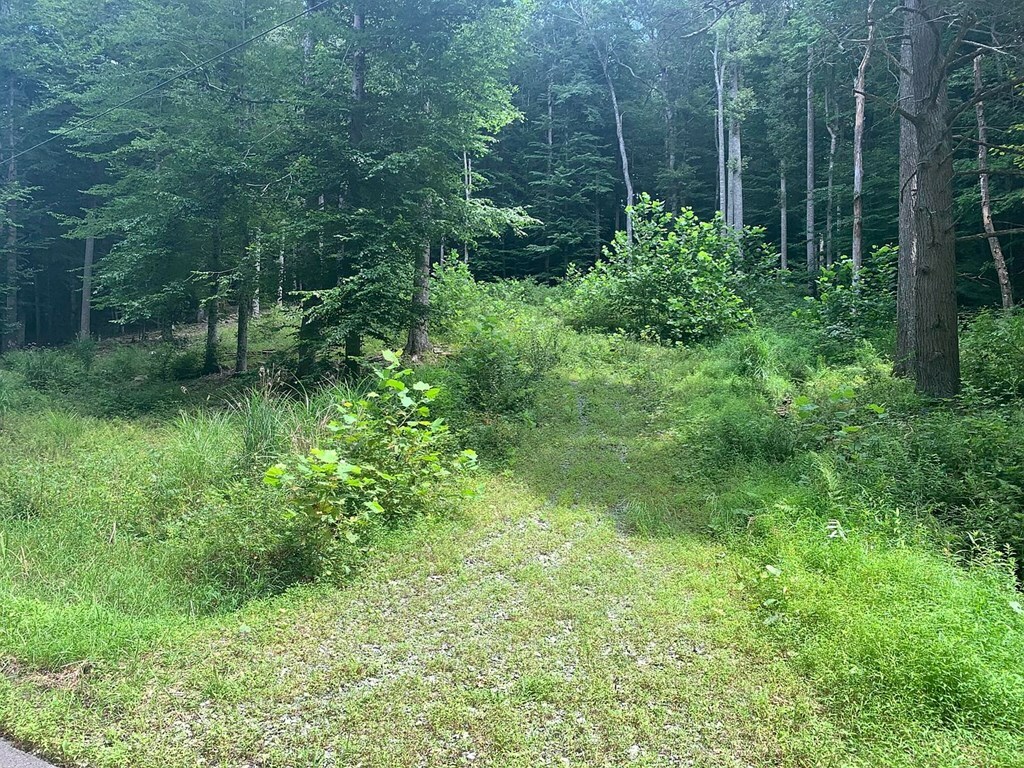 Property Photo:  00 Mountain Laurel Road  WV 26651 