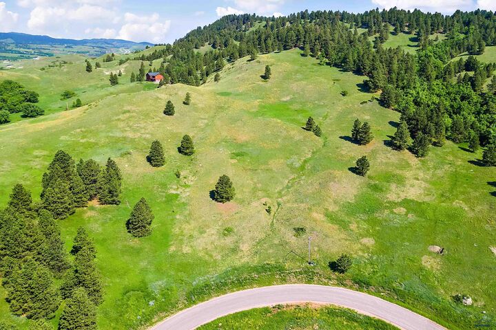 Property Photo:  3949 Twisted Oak Rd  SD 57785 
