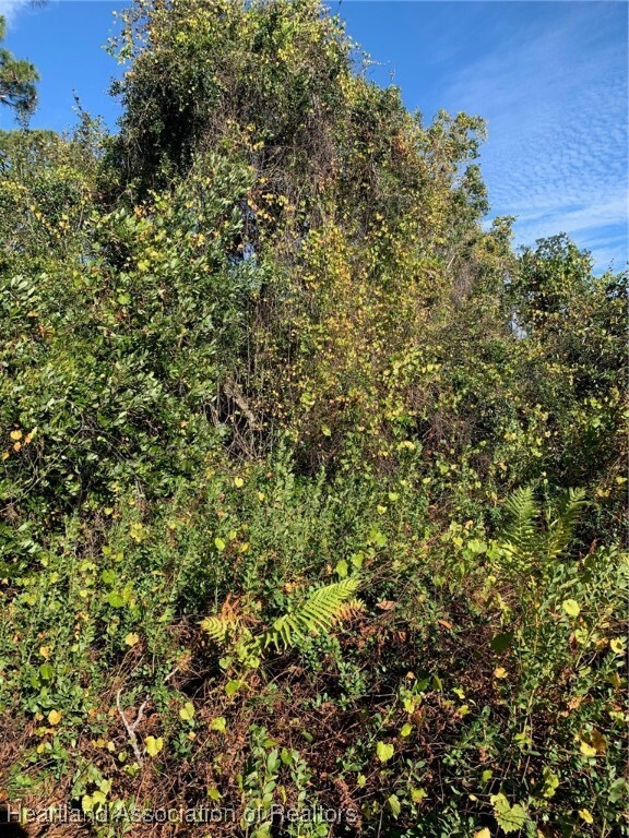 Property Photo: 365 Bottlebrush Avenue FL 33852