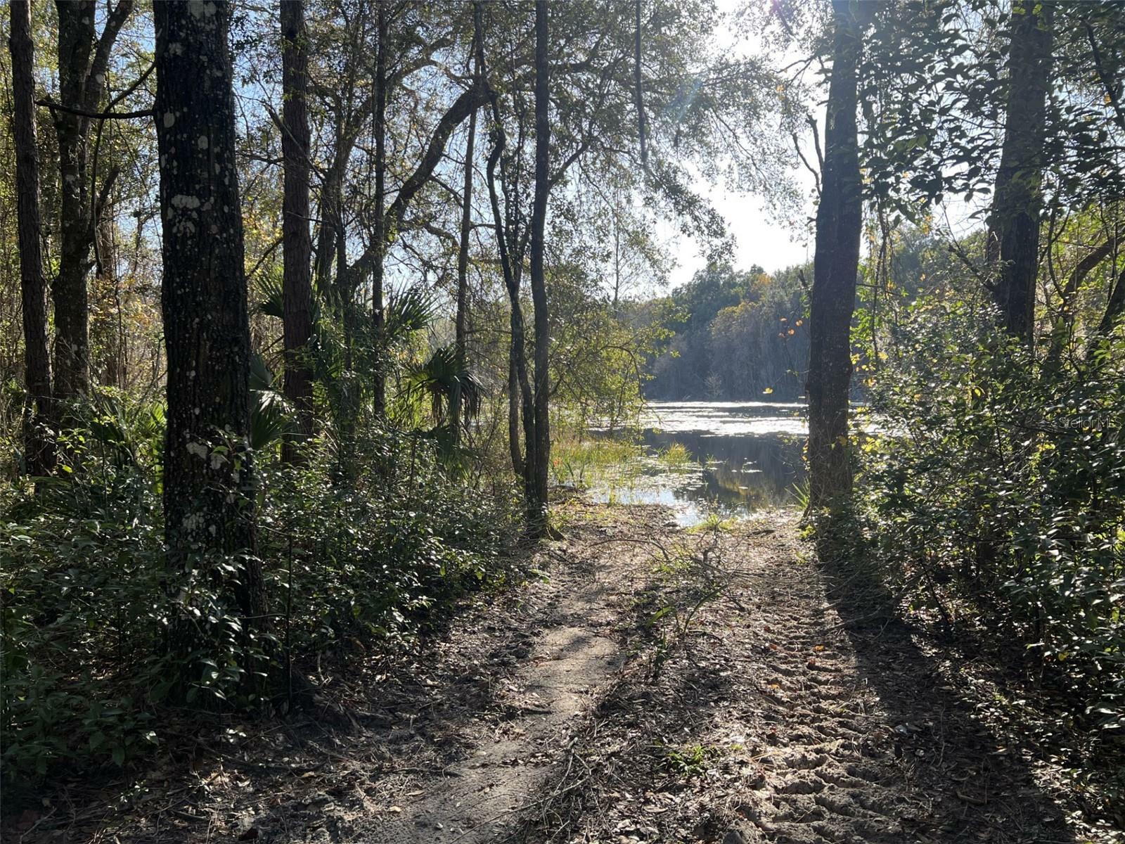 Property Photo:  Forsythe  FL 32744 