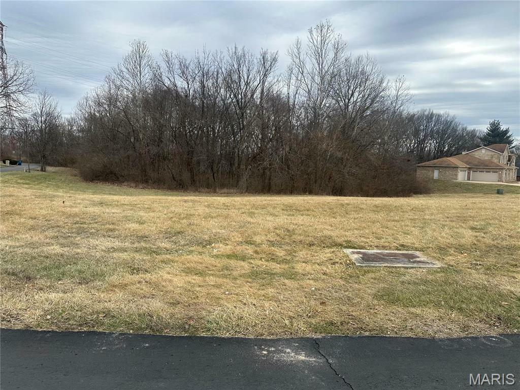 Property Photo:  1548 Fountainhead Lane  MO 63138 