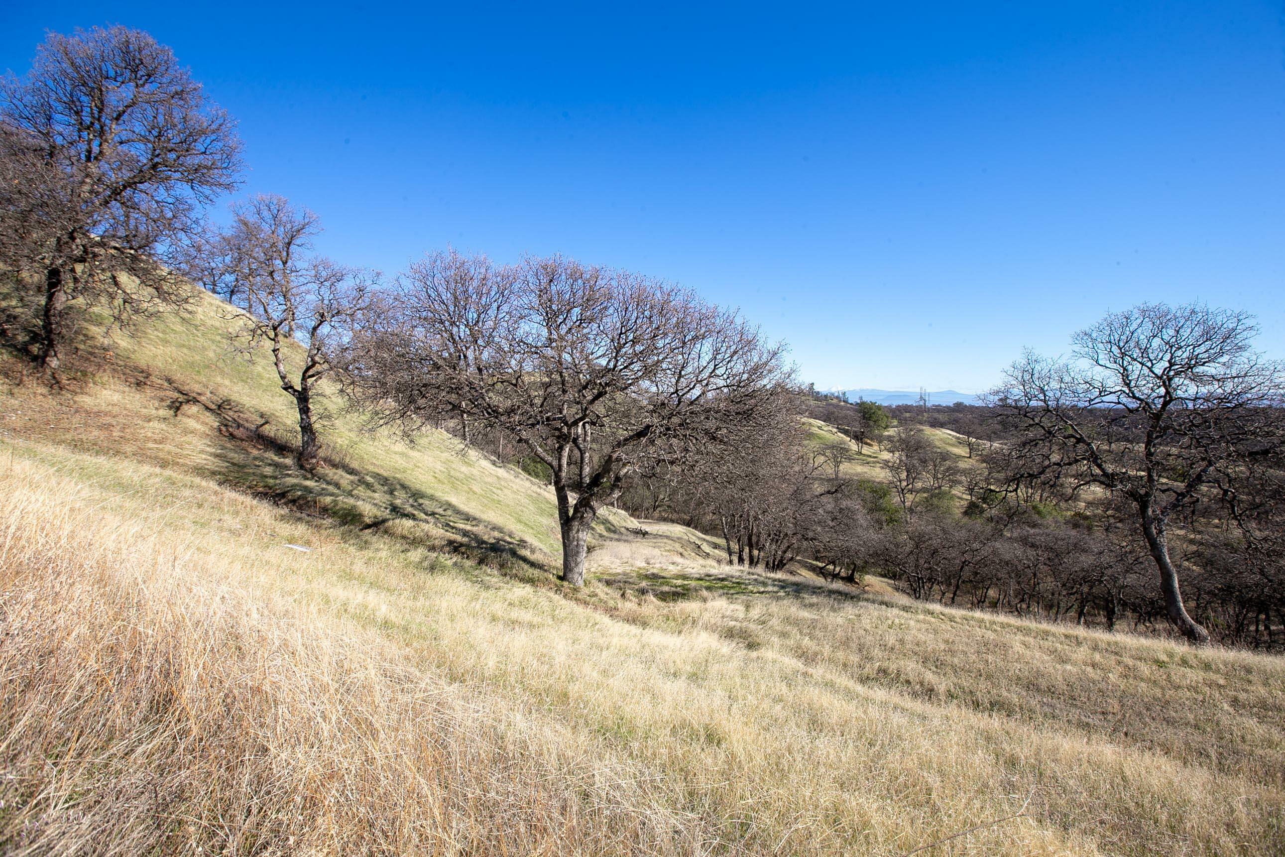 Property Photo:  Lot 13 Happy Valley Trail  CA 96022 