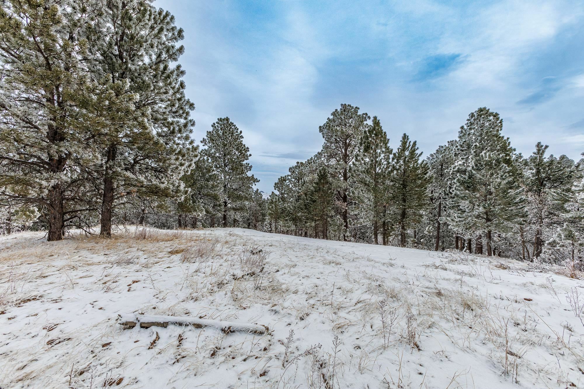 Property Photo:  Lot 12 Niobrara Drive  SD 57793 