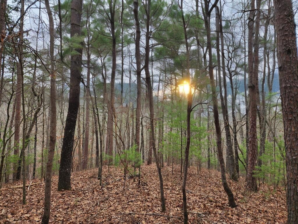 Property Photo: Lot 1665 Hunter Drive GA 30175