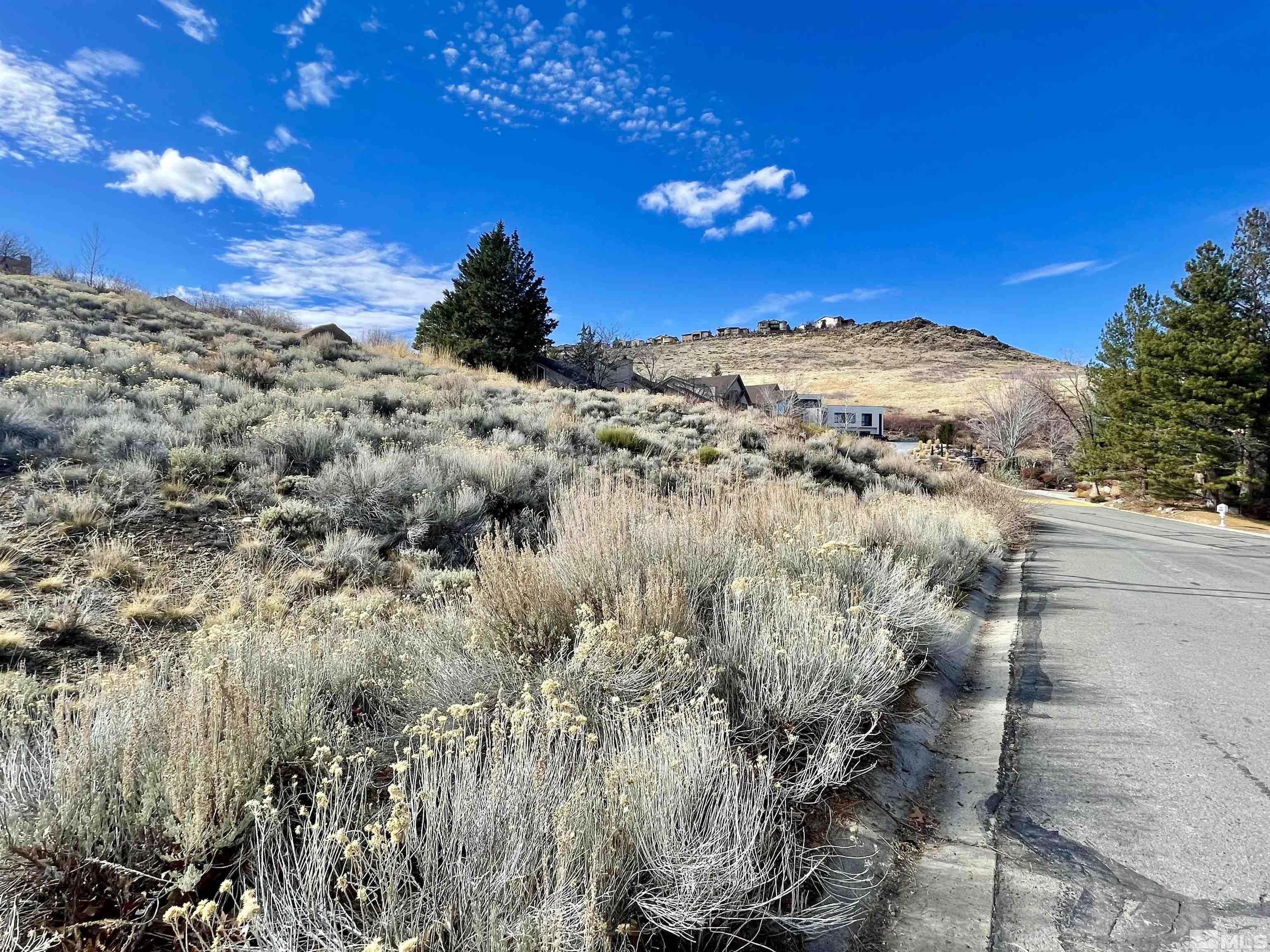 Property Photo:  2815 Lakeridge  NV 89519 