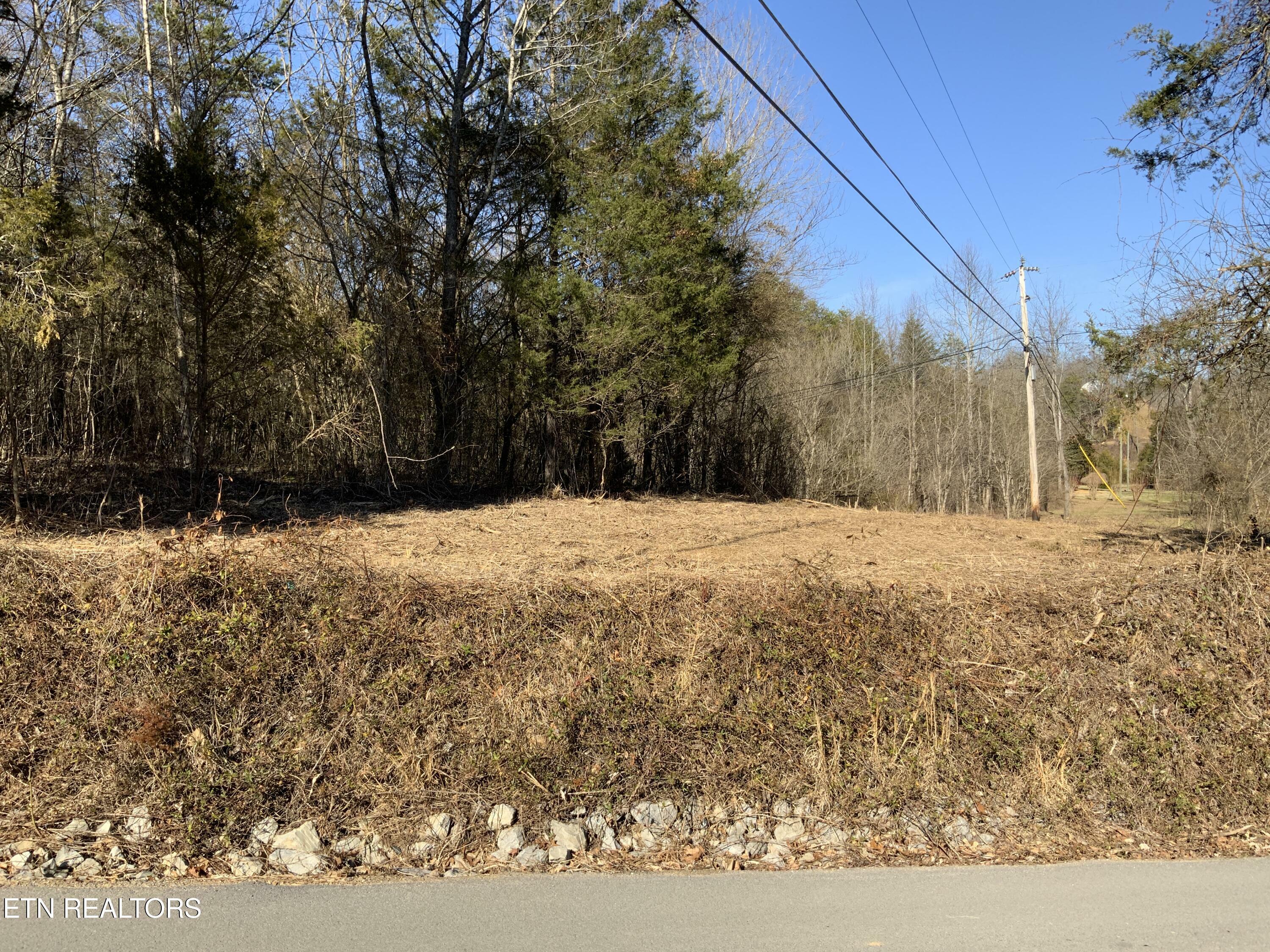 Property Photo:  Lot 1 McCarter Hollow Rd.  TN 37862 