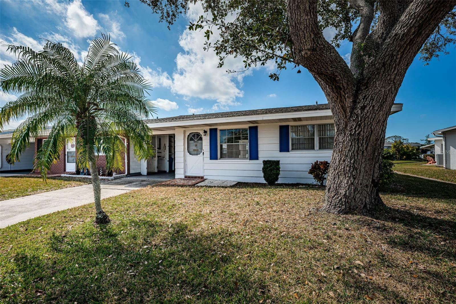 10022 Lily Street N  Pinellas Park FL 33782 photo