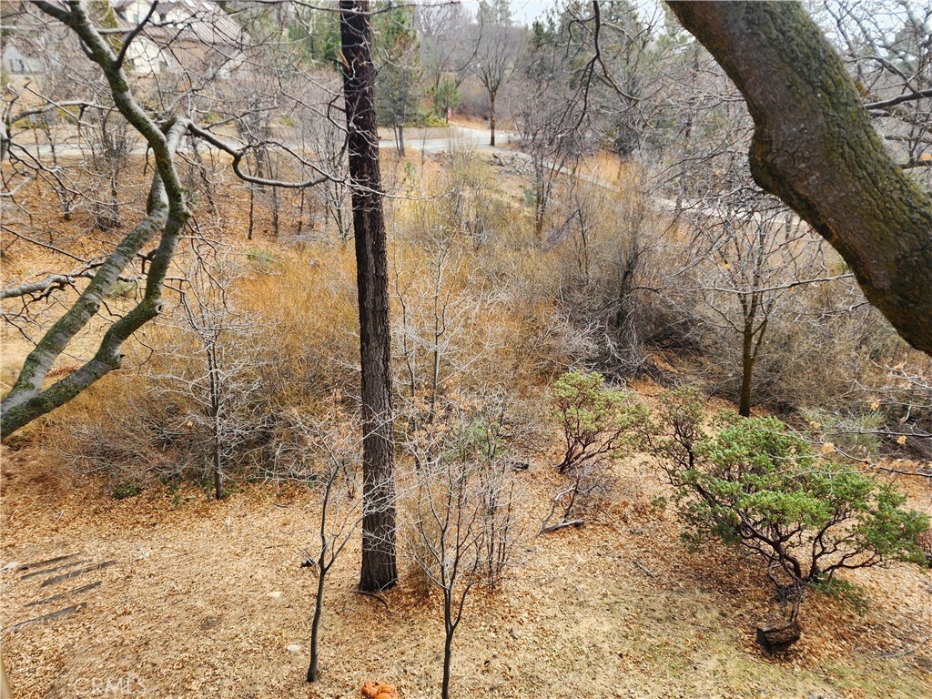 Property Photo: 0 State Hwy 173 CA 92352