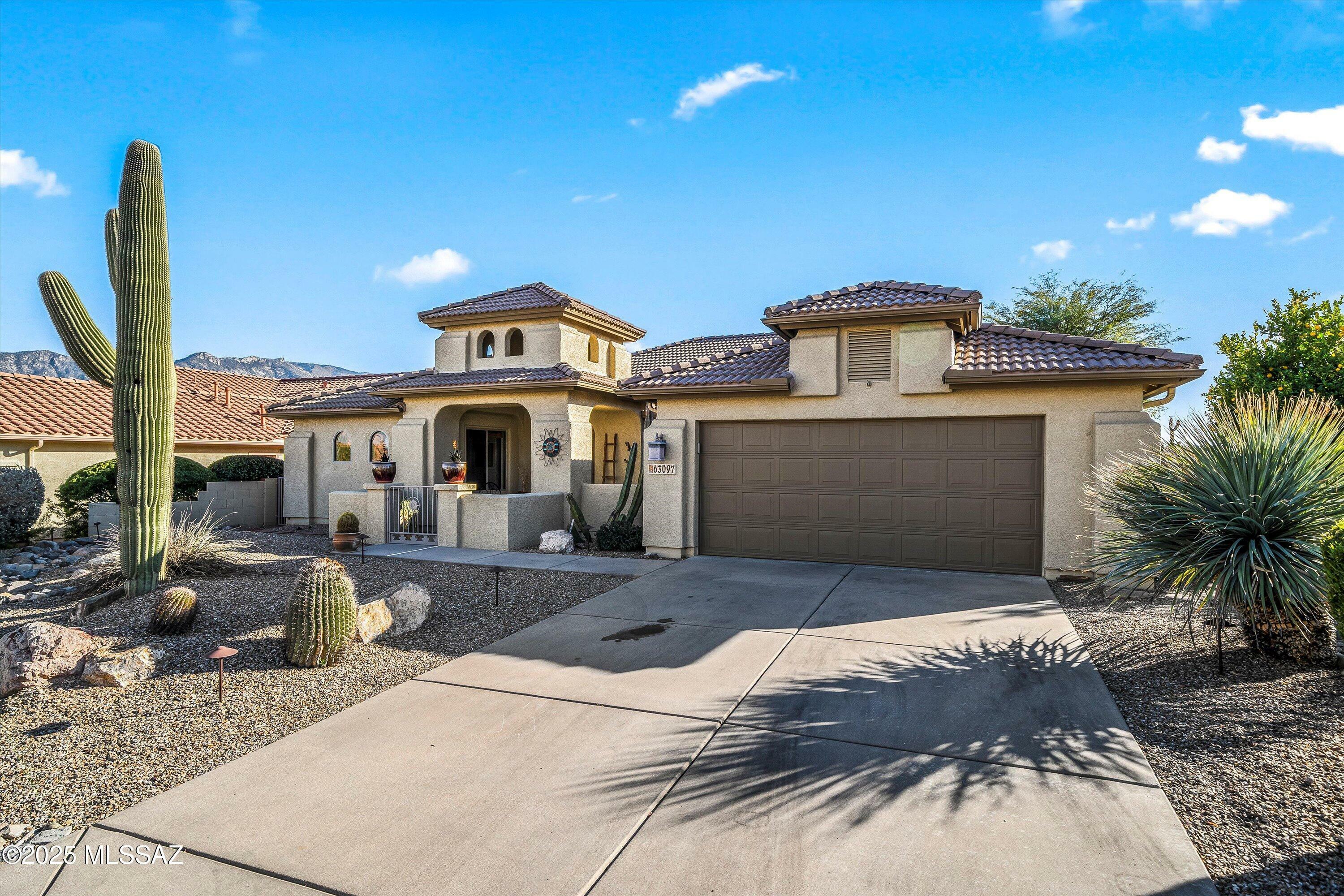 Property Photo:  63097 E Cat Claw Lane  AZ 85739 