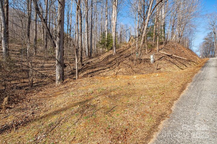 Property Photo:  000 Blue Ridge Drive N 164  NC 28752 