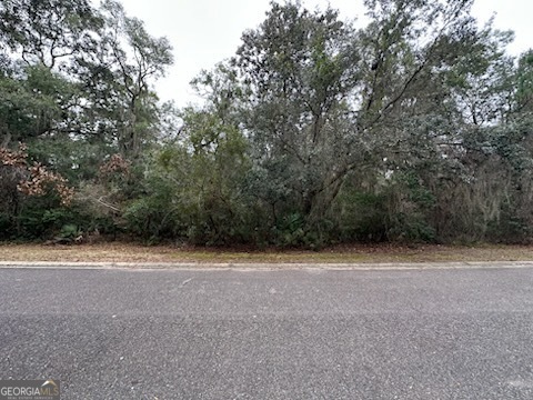 Property Photo:  203 Cobia Lane  GA 31558 