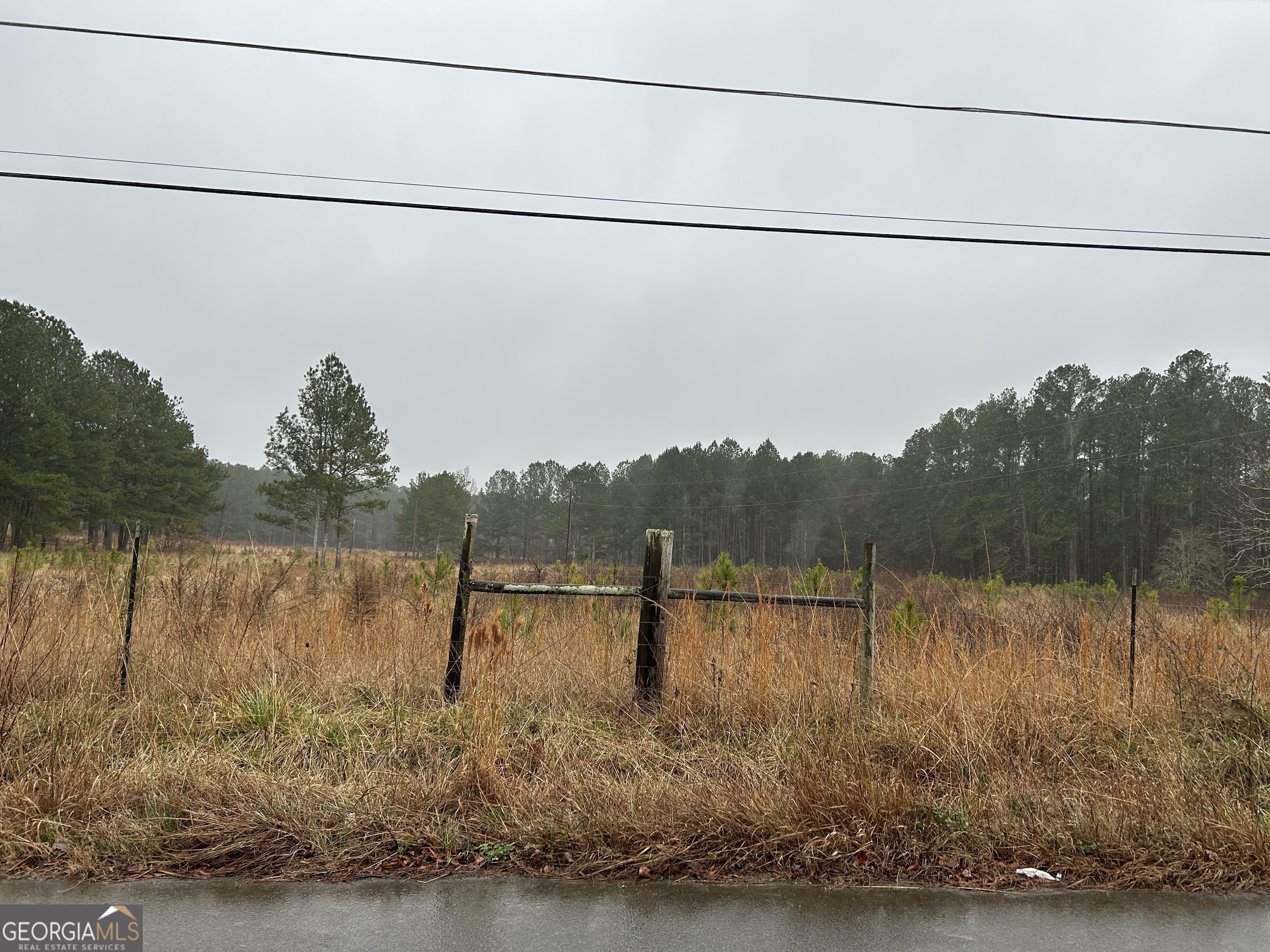 Property Photo:  99 Central Grove Road  GA 30165 