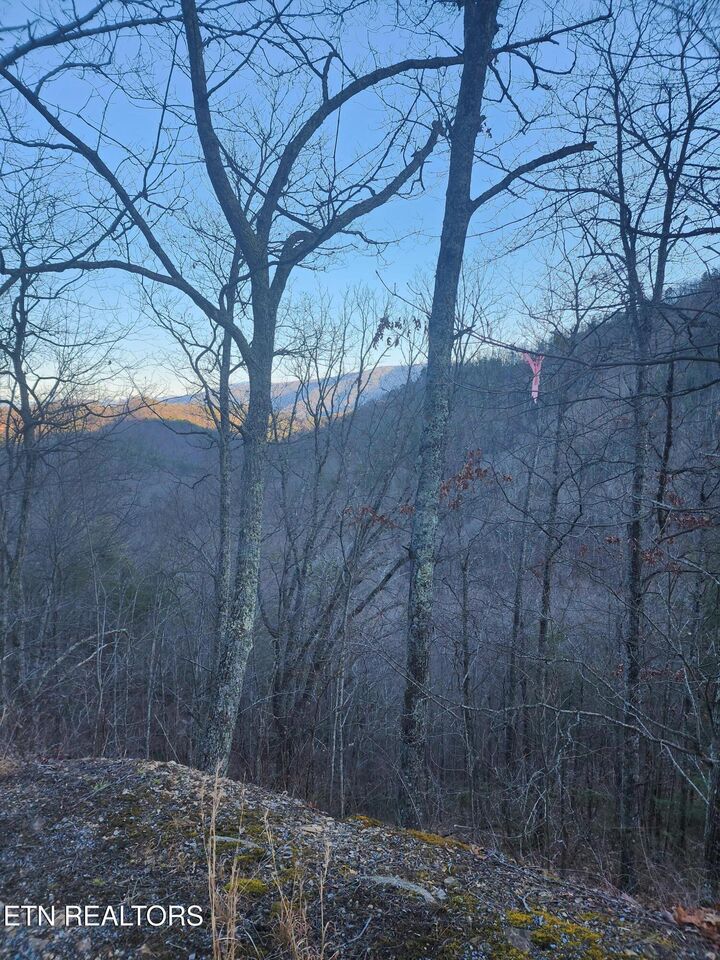 Property Photo: Overholt Trl Lot 2B TN 37862