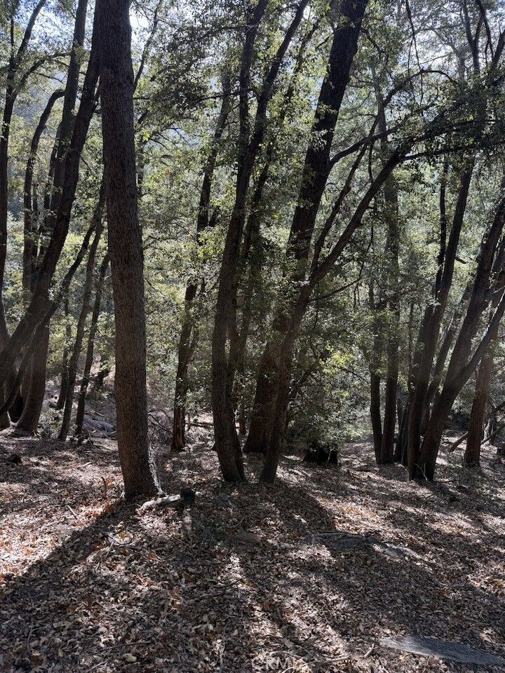 Property Photo:  0 343-061-27-000  CA 92322 