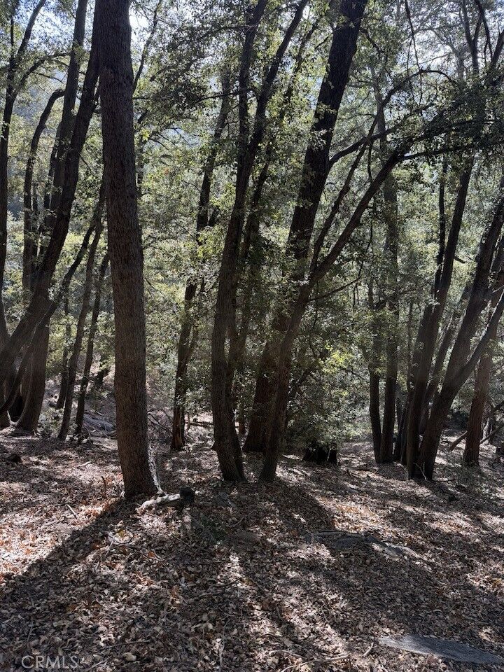 Property Photo:  0 343-061-27-000  CA 92322 