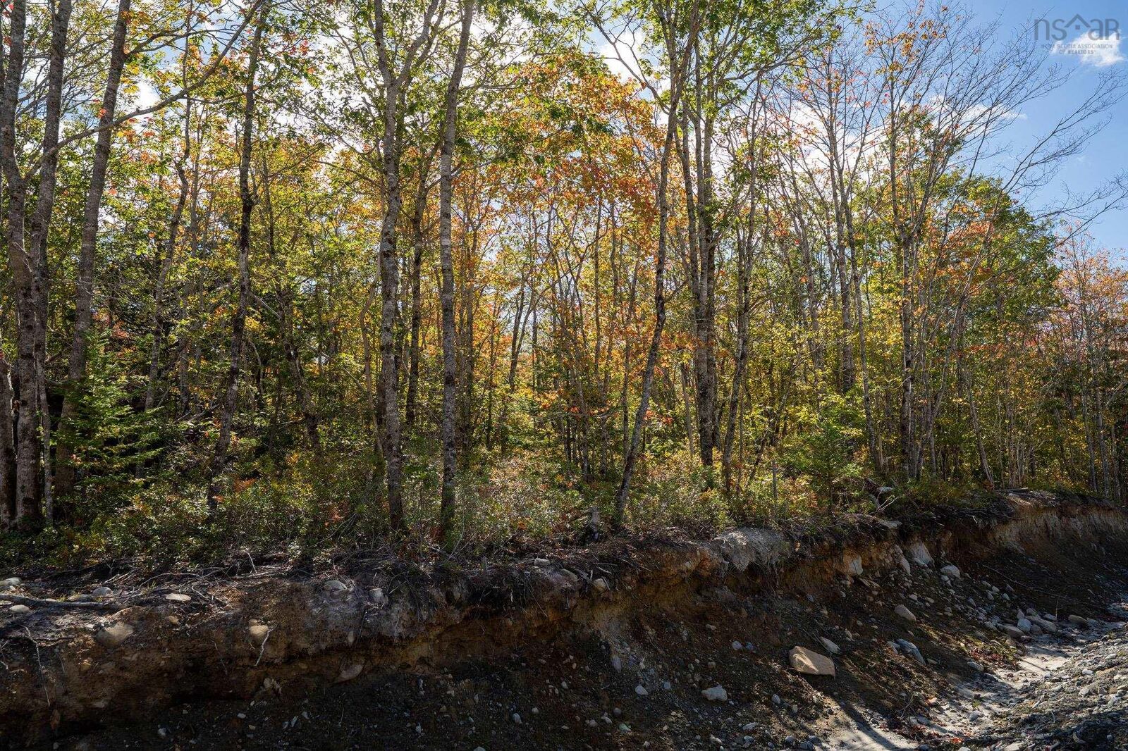 Property Photo: 67 Morton Drive NS B0T 1K0
