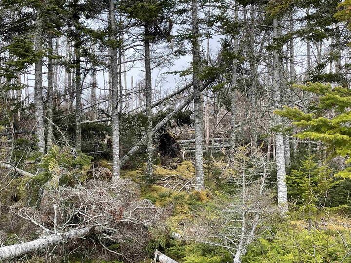 Property Photo:  Lot 17 Bjoern Seelhorst Drive Macleod Lake  NS B1K 0B1 