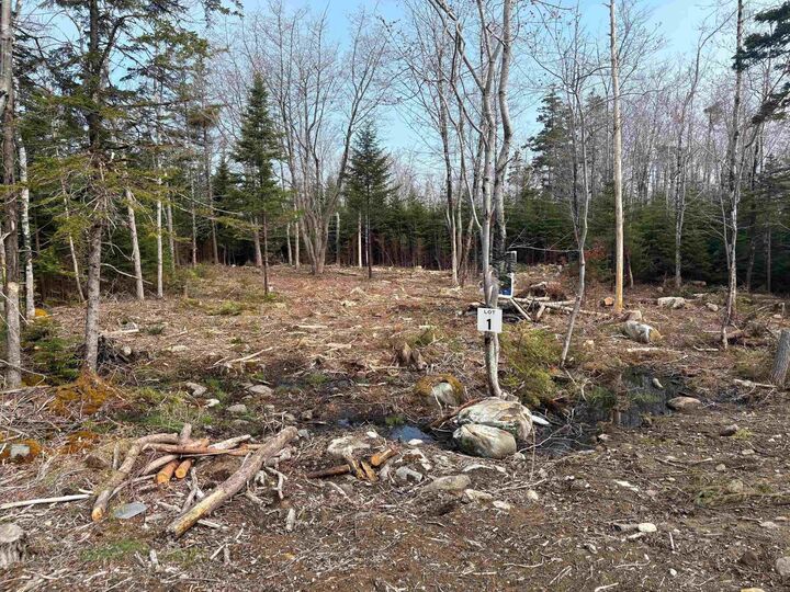 Lot 1 Larry Seldon Lane — photo 1