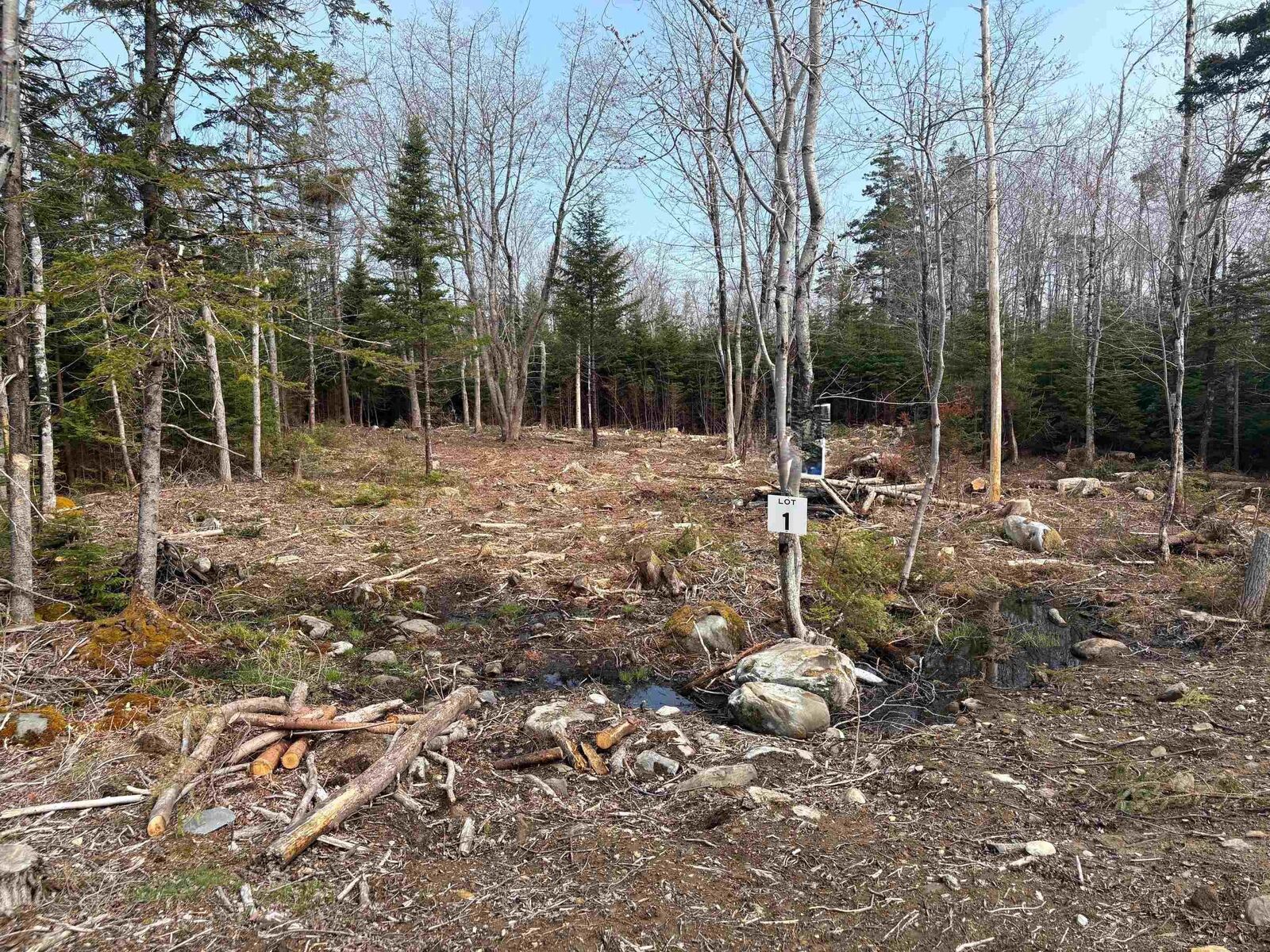Property Photo:  Lot 1 Larry Seldon Lane  NS B0T 1K0 