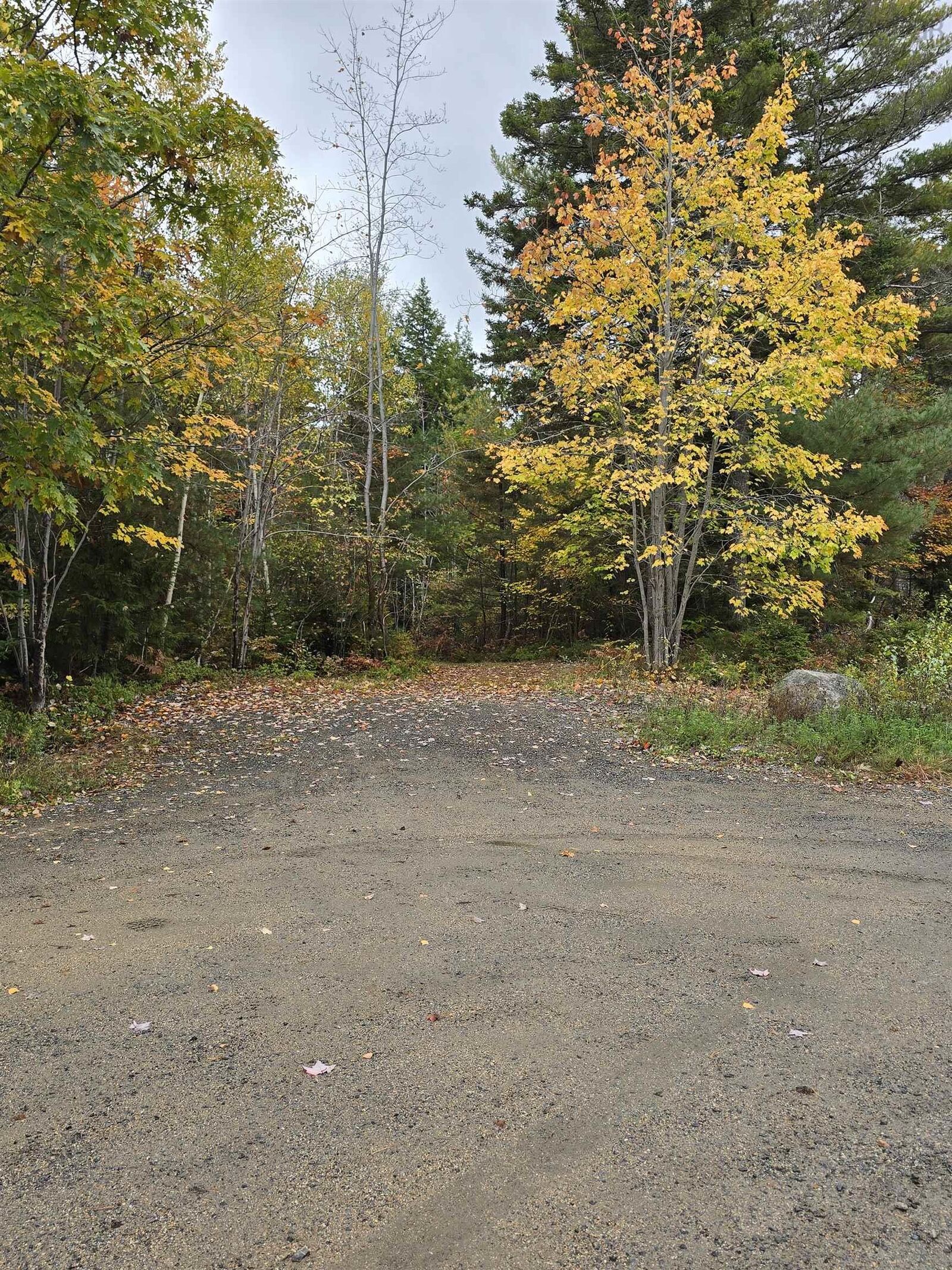 Property Photo:  Riverview Drive  NS B4V 3A1 