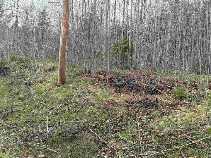Property Photo:  Lot 5 Highway 10  NS B0R 1E0 