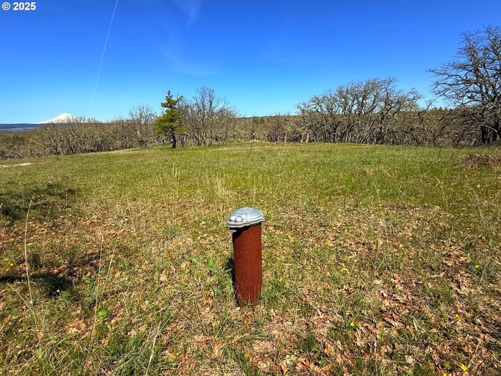 Property Photo:  Off Centerville Hwy 3  WA 98635 