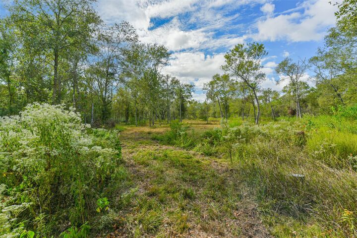Property Photo: 0 Live Oak St TX 77430