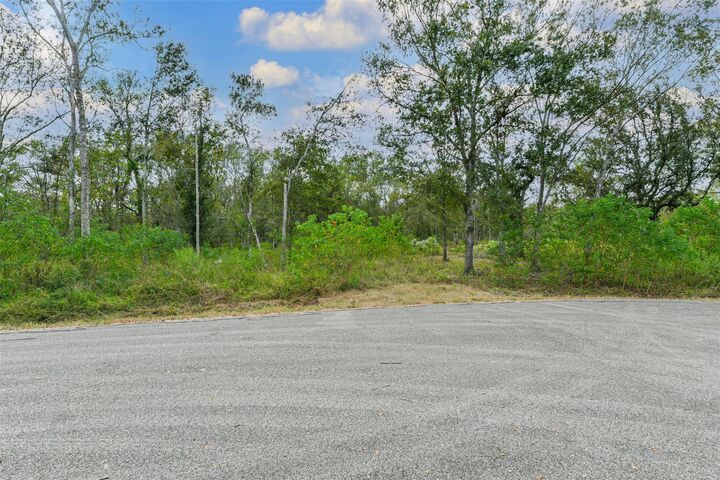 Property Photo:  0 Live Oak St  TX 77430 