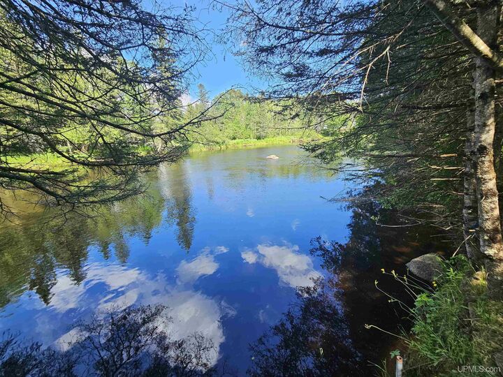 Property Photo: N13545 Newberg Road MI 49815