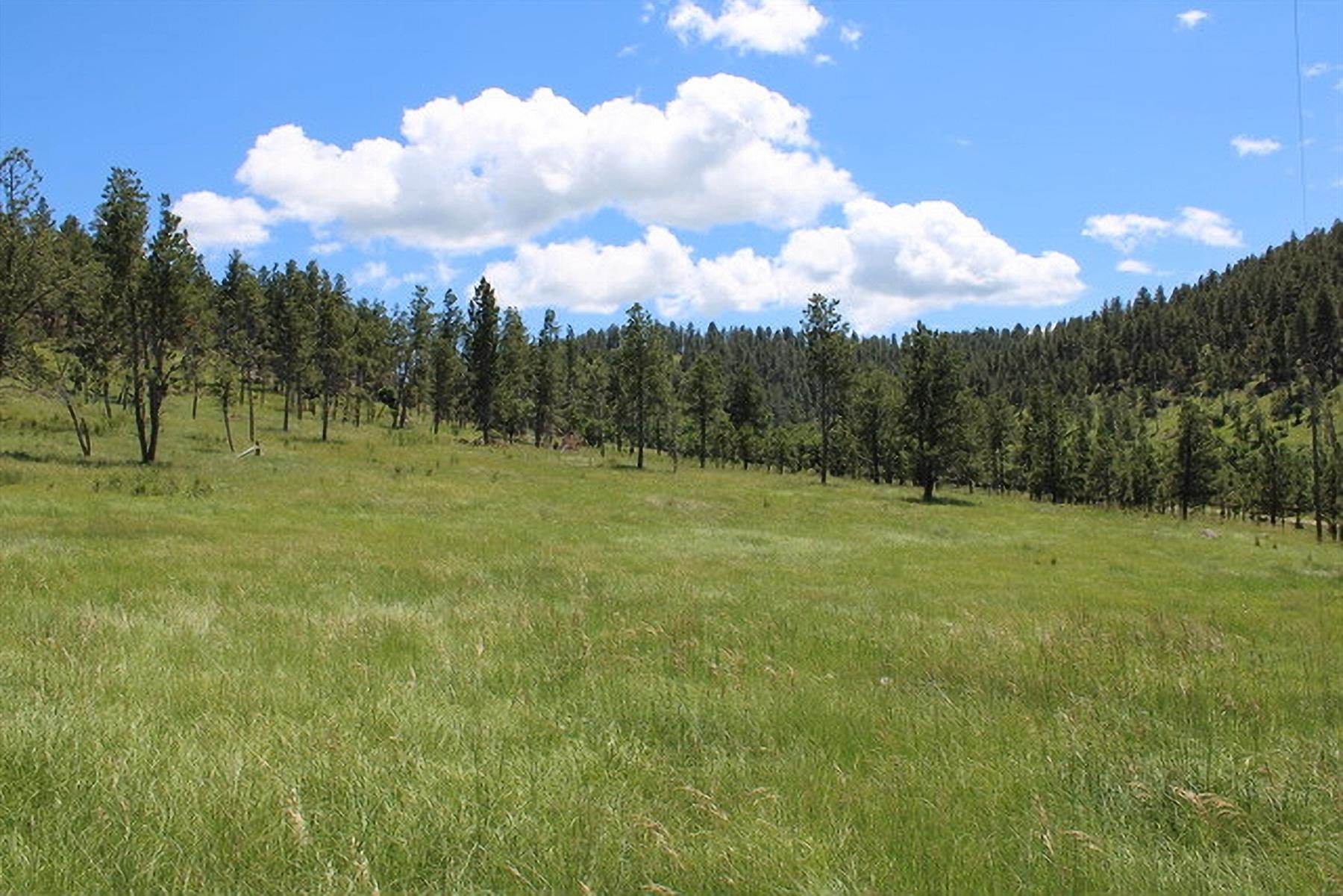 Property Photo:  Tract 9A Bay Mountain Road  WY 82720-9999 