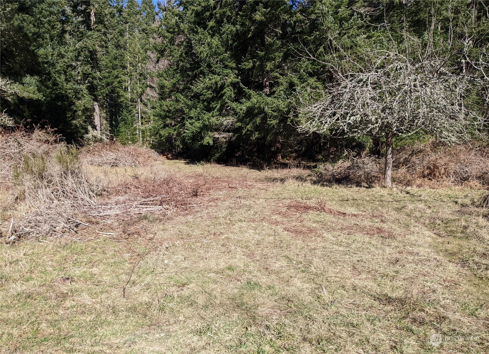 Property Photo:  0  Andreason Road  WA 98260 