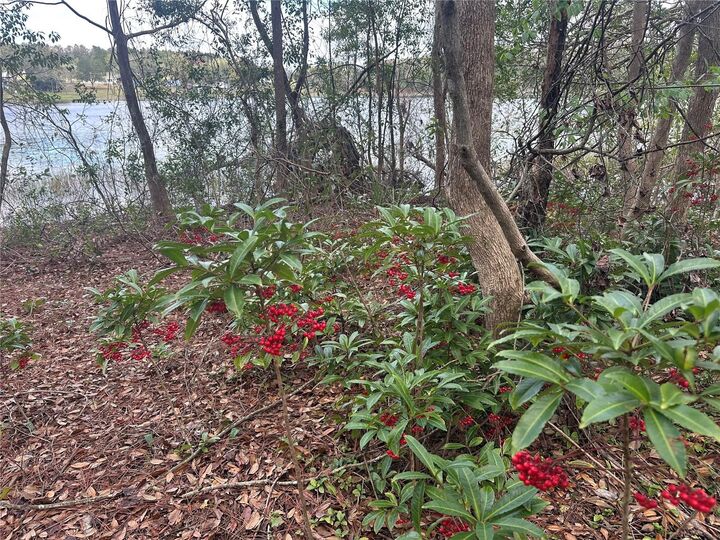Property Photo:  S Lake Hiawatha Drive  FL 32159 