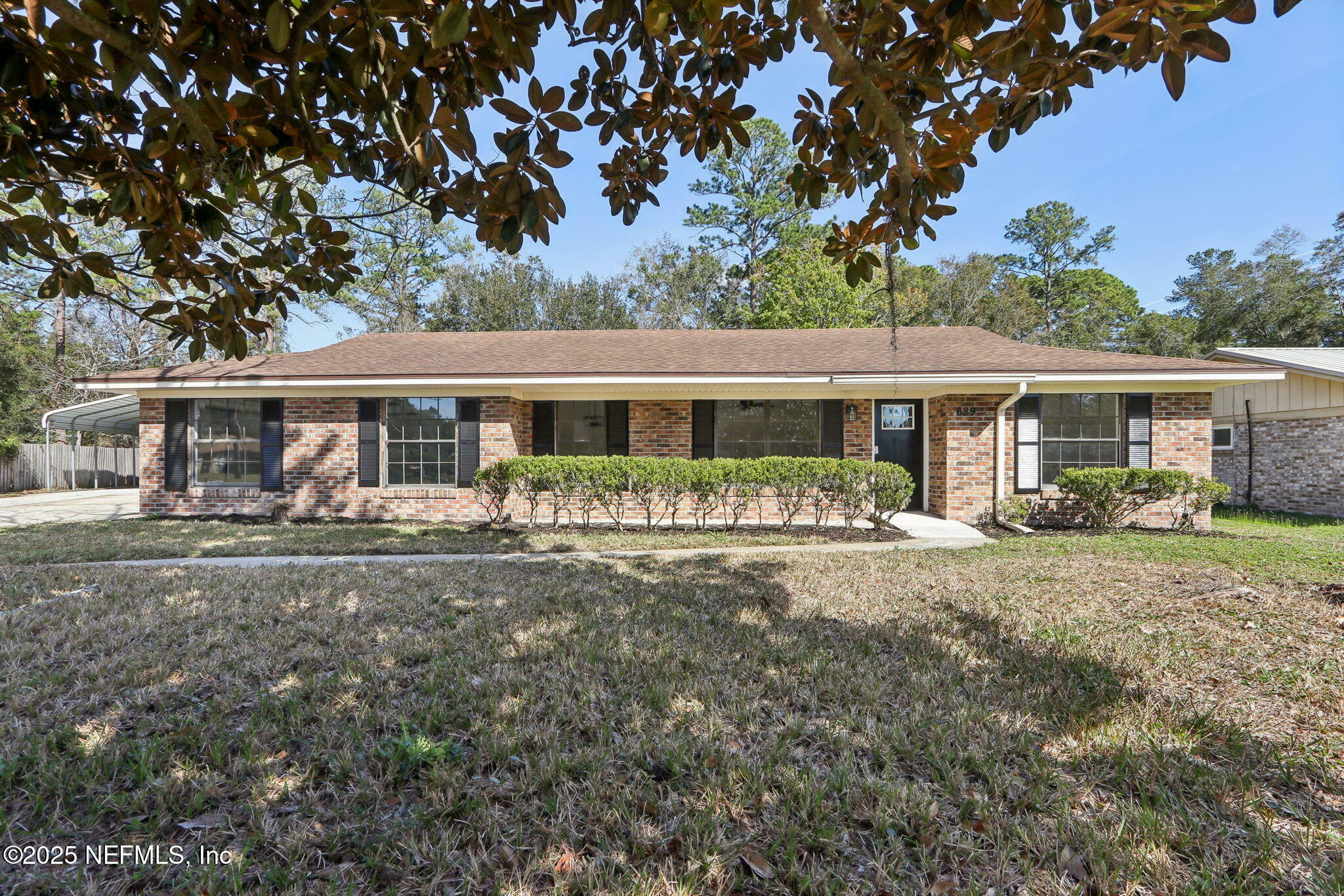 Property Photo:  689 San Robar Drive  FL 32073 